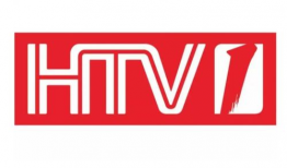 卫视频道,精彩内容与独家视角的汇聚之地